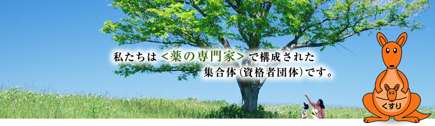 私たちは薬の専門家で構成された集合体(資格者団体)です